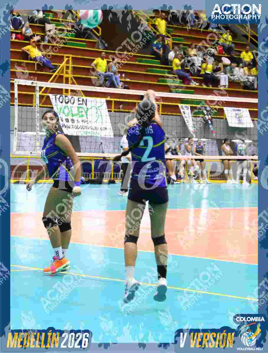 TIGRES F Foto 1