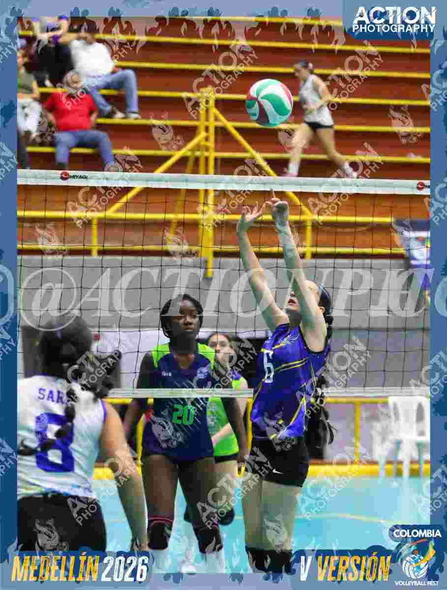 TIGRES F Foto 1