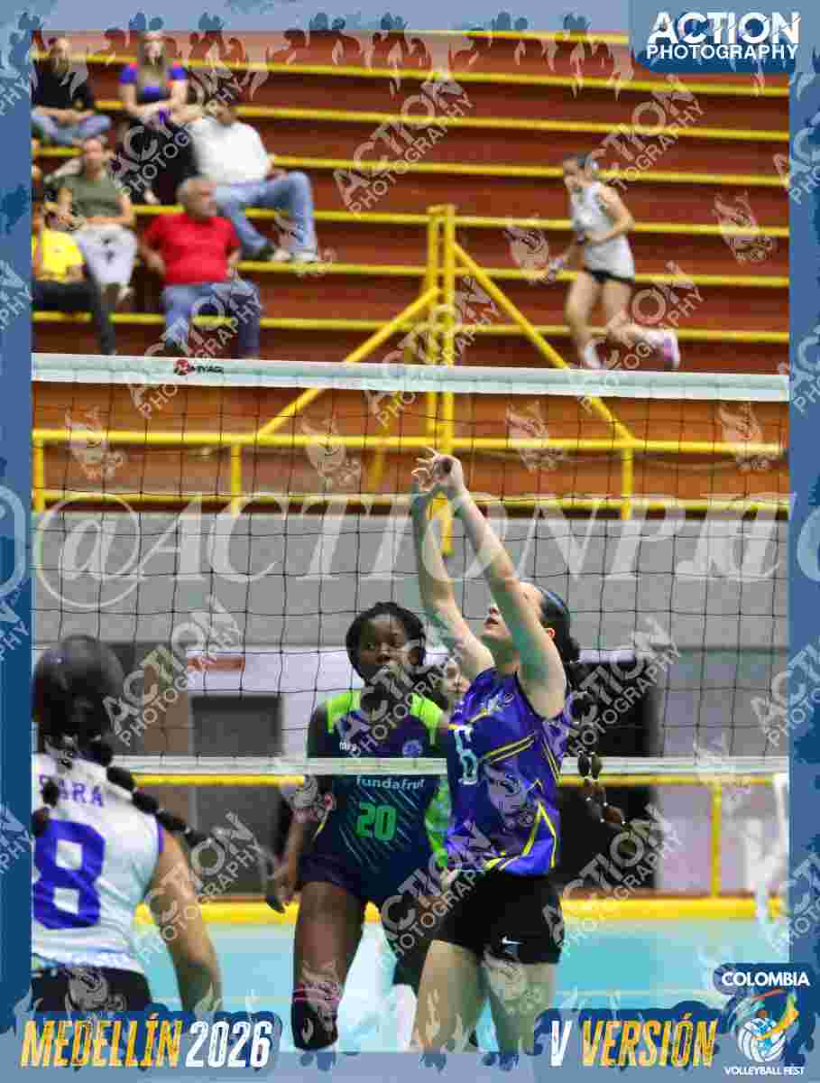 TIGRES F Foto 1