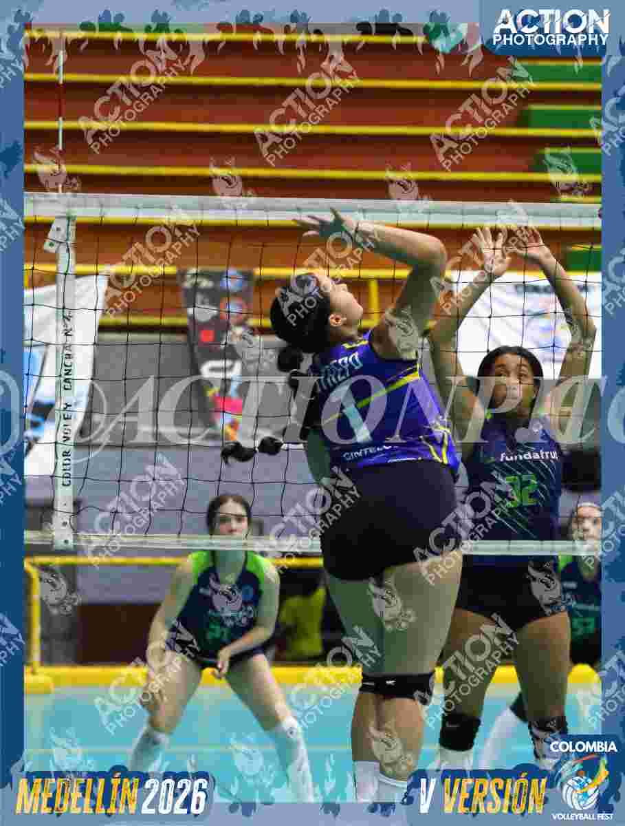 TIGRES F Foto 1