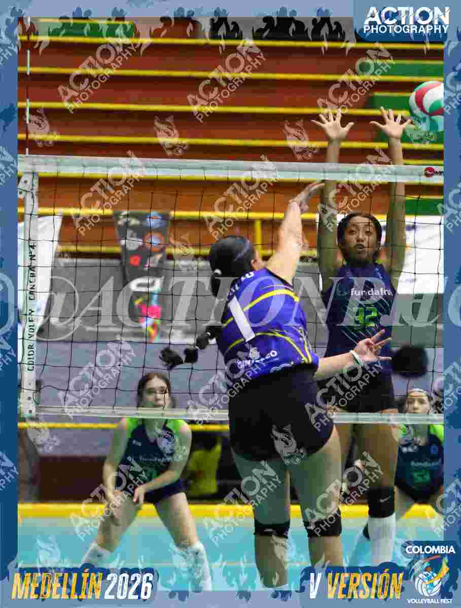 TIGRES F Foto 1