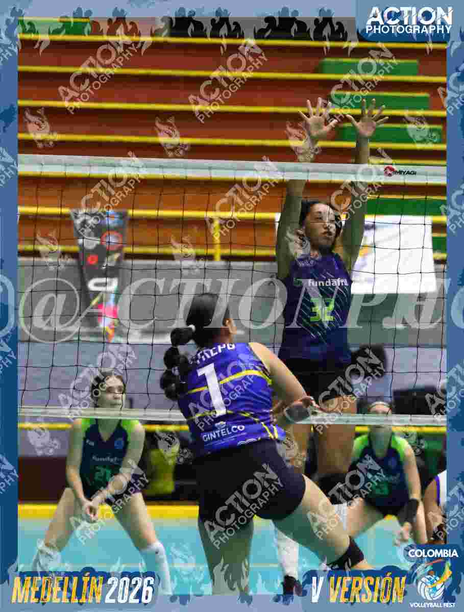 TIGRES F Foto 11
