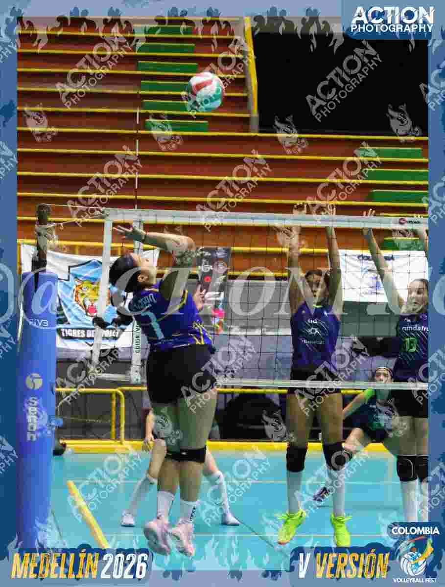 TIGRES F Foto 11