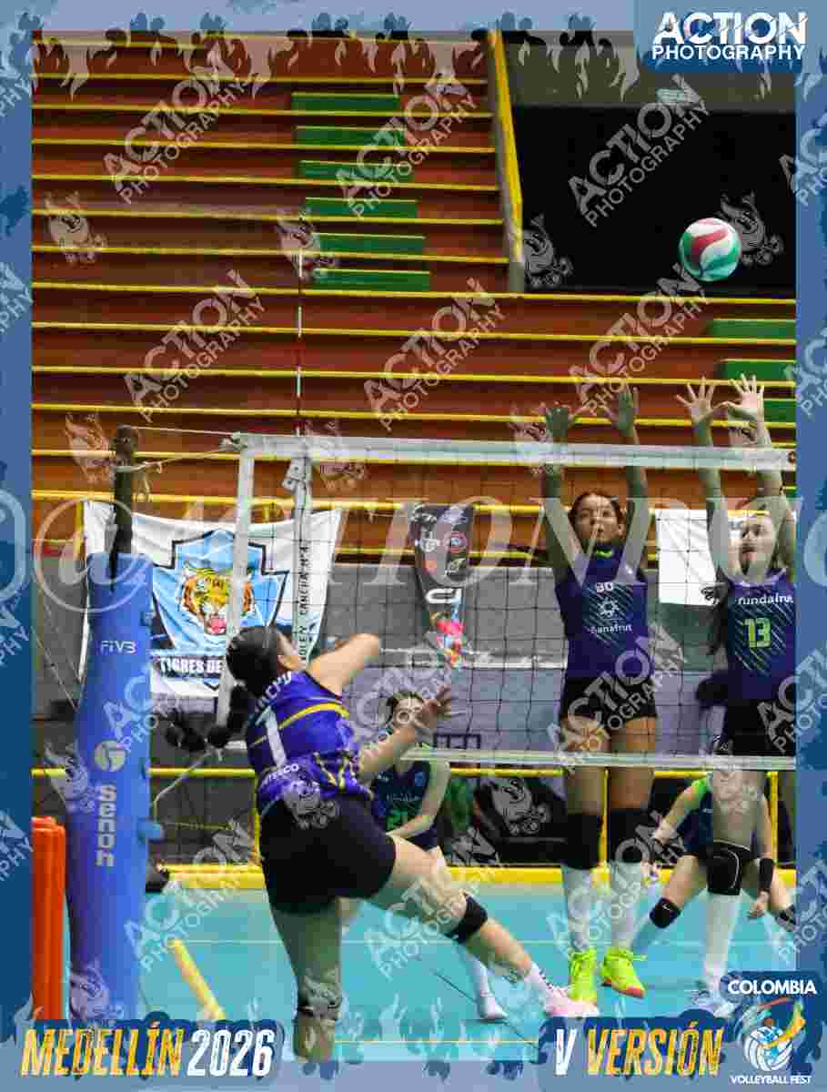 TIGRES F Foto 11