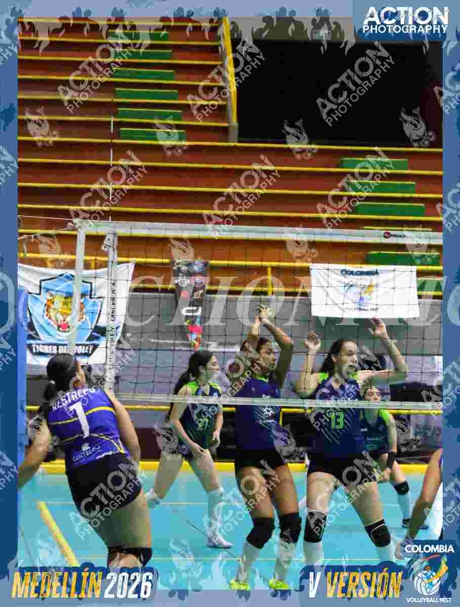 TIGRES F Foto 11