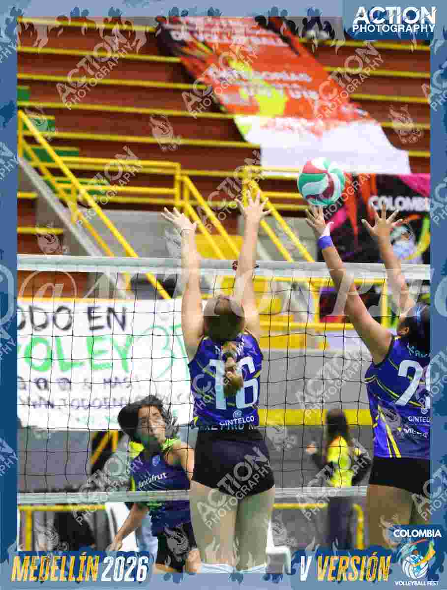 TIGRES F Foto 11