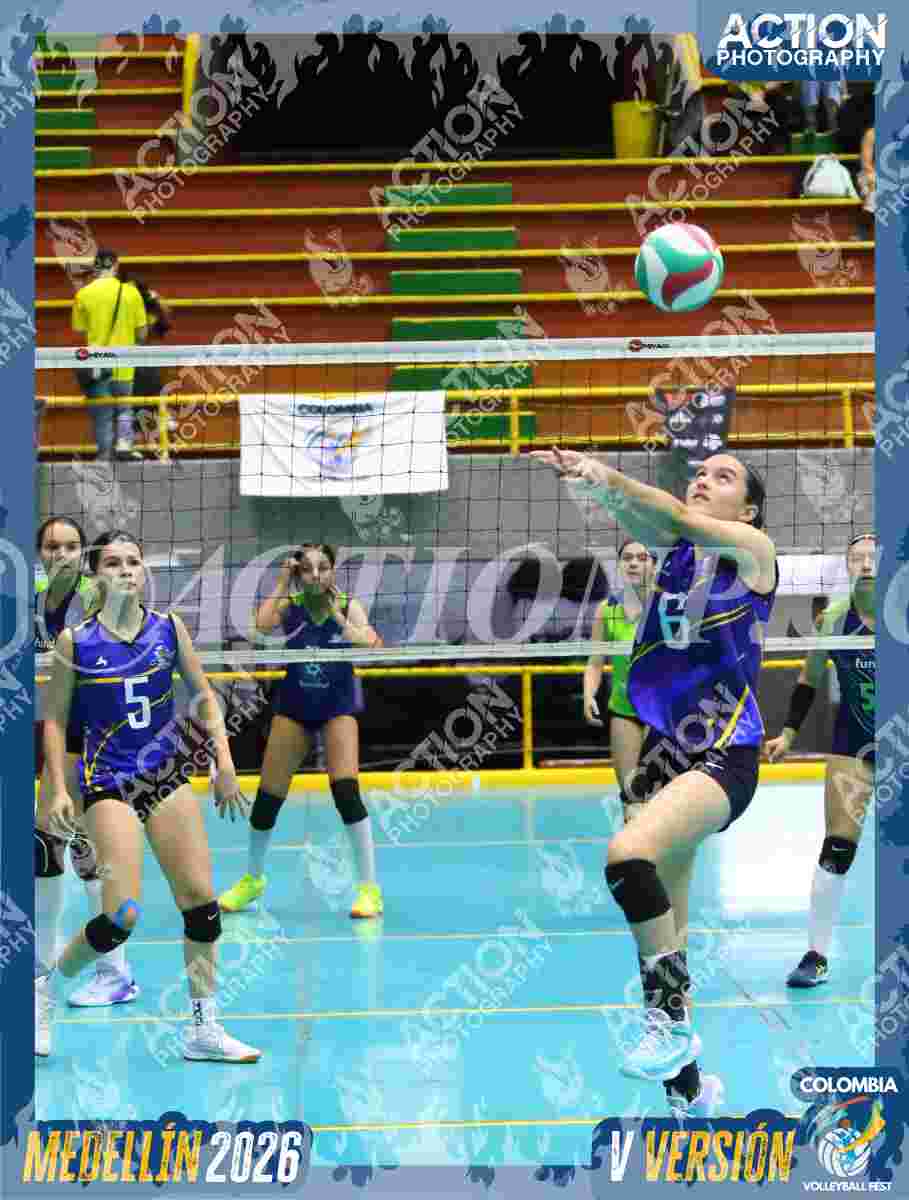 Preview de TIGRES F