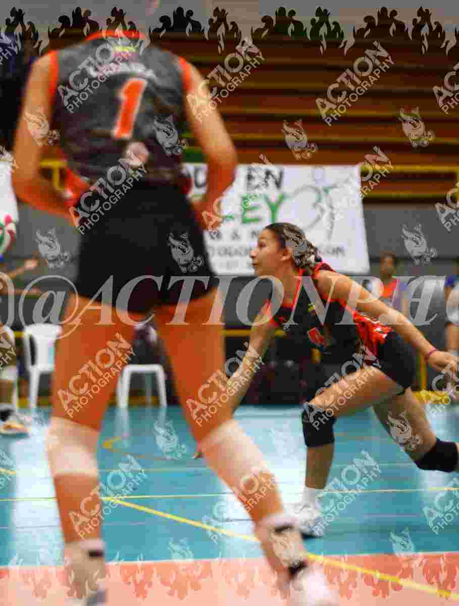 VP VOLEIBOL PEREIRA Foto 1