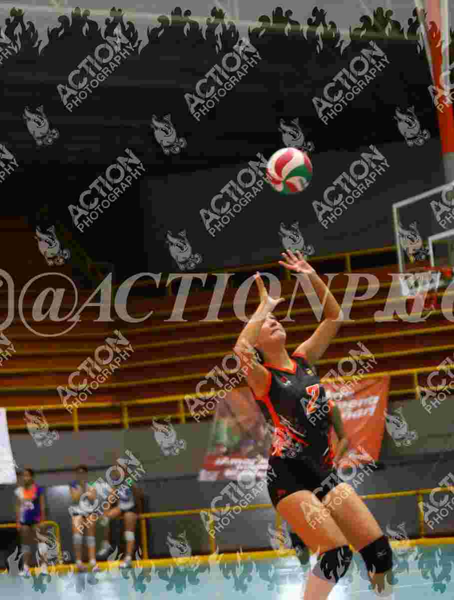VP VOLEIBOL PEREIRA Foto 11