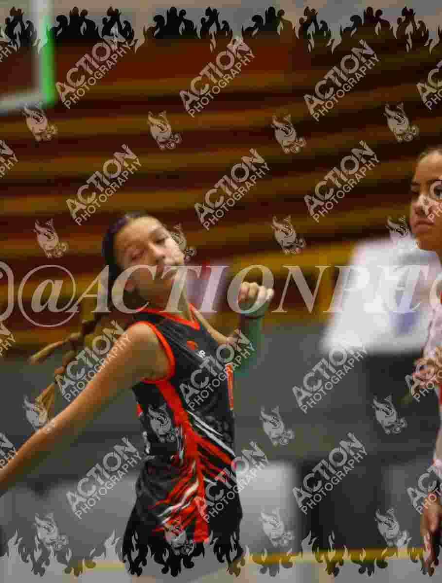 Preview de VP VOLEIBOL PEREIRA