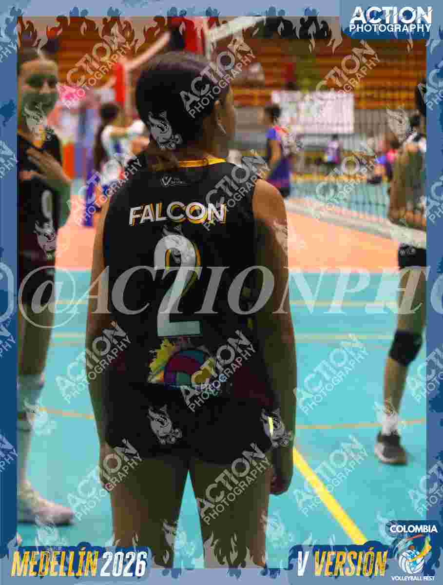 FALCON Foto 1