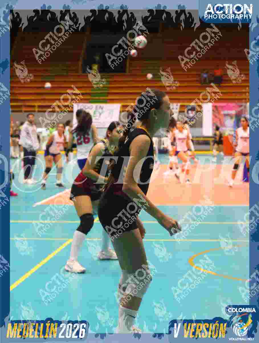 FALCON Foto 6