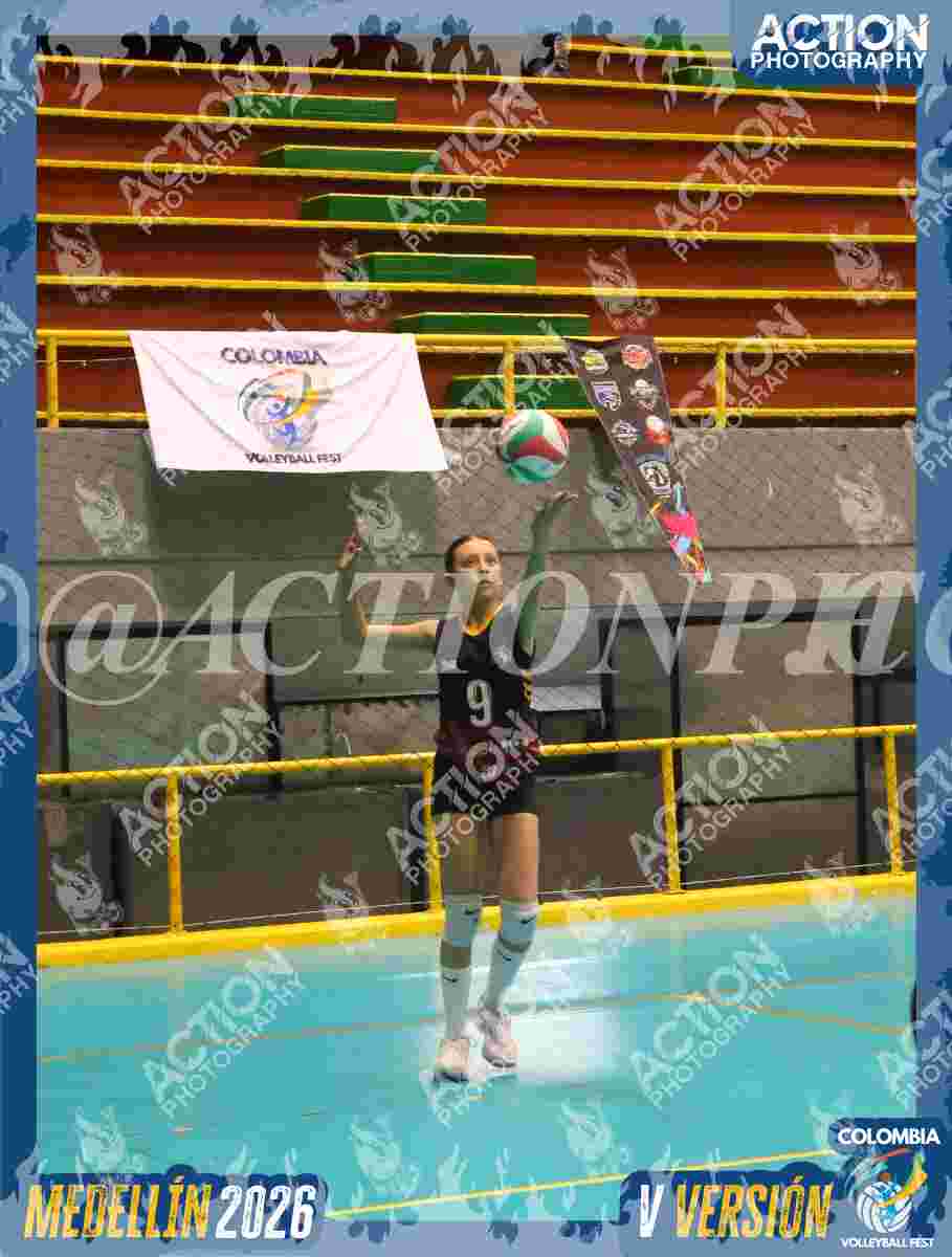 FALCON Foto 14