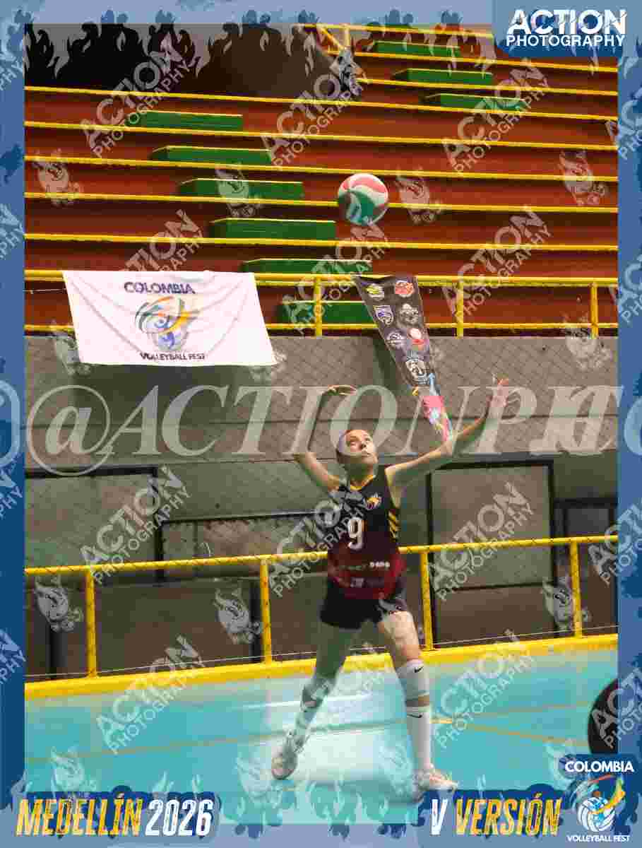 FALCON Foto 14