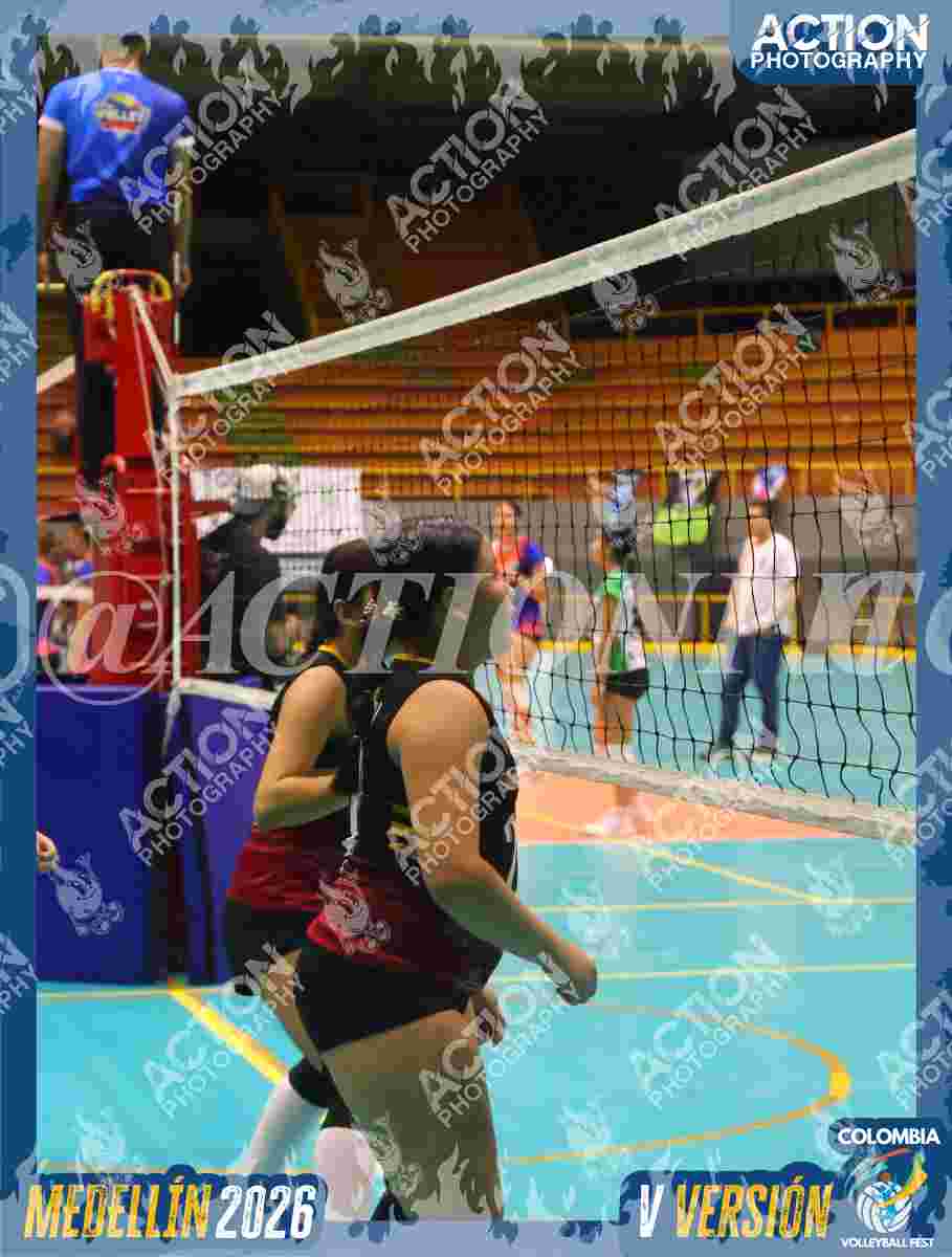 FALCON Foto 14