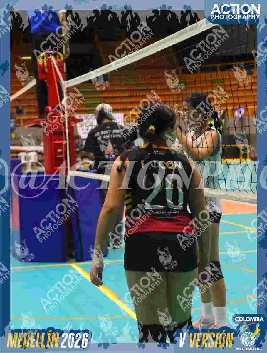 FALCON Foto 14