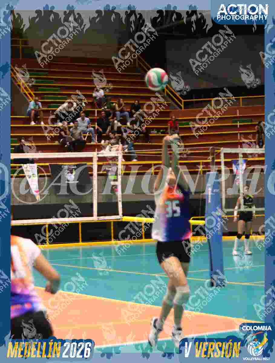 POTROS BLACK Foto 4