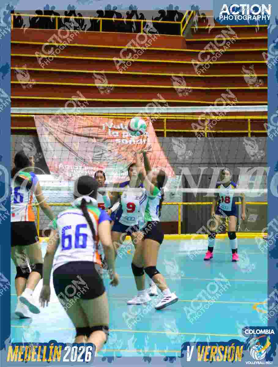 POTROS SPORTS YELLOW Foto 11