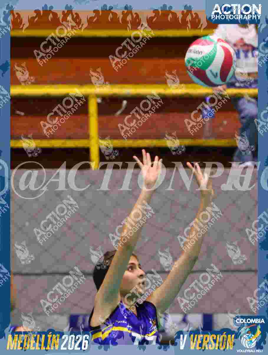 TIGRES D Foto 1