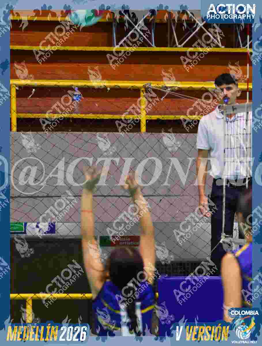 TIGRES D Foto 1