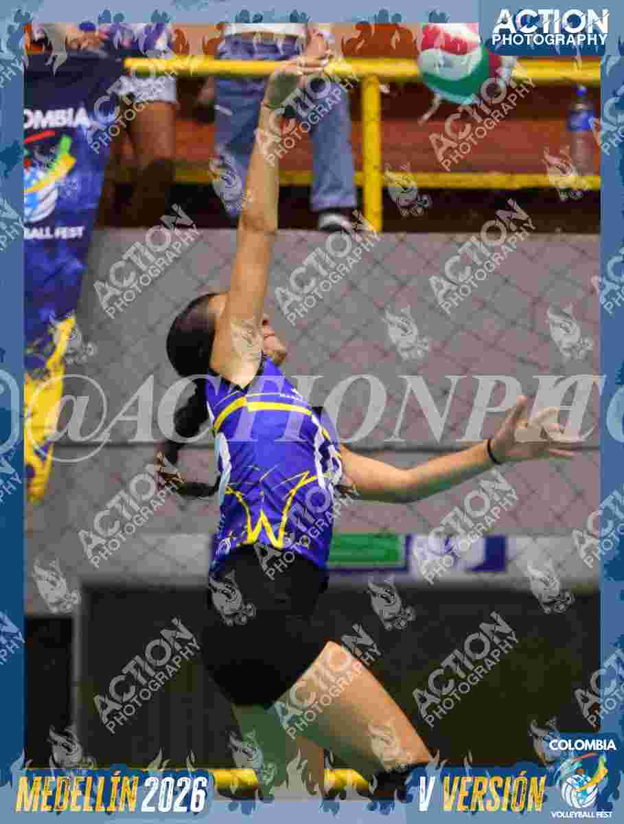 TIGRES D Foto 1