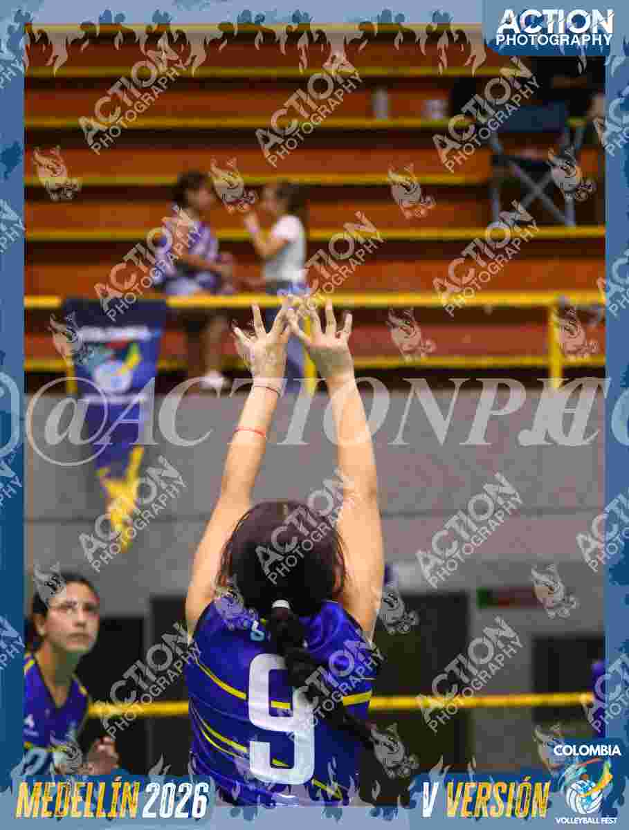 TIGRES D Foto 11