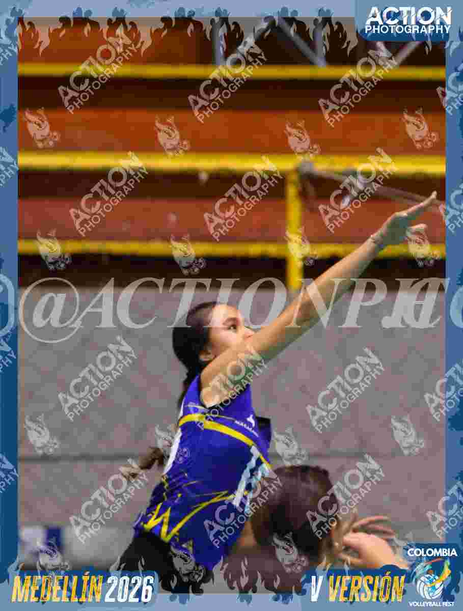 TIGRES D Foto 11
