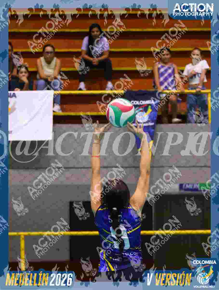 TIGRES D Foto 11