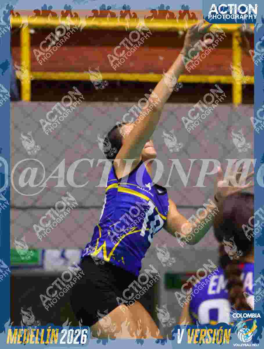 Preview de TIGRES D
