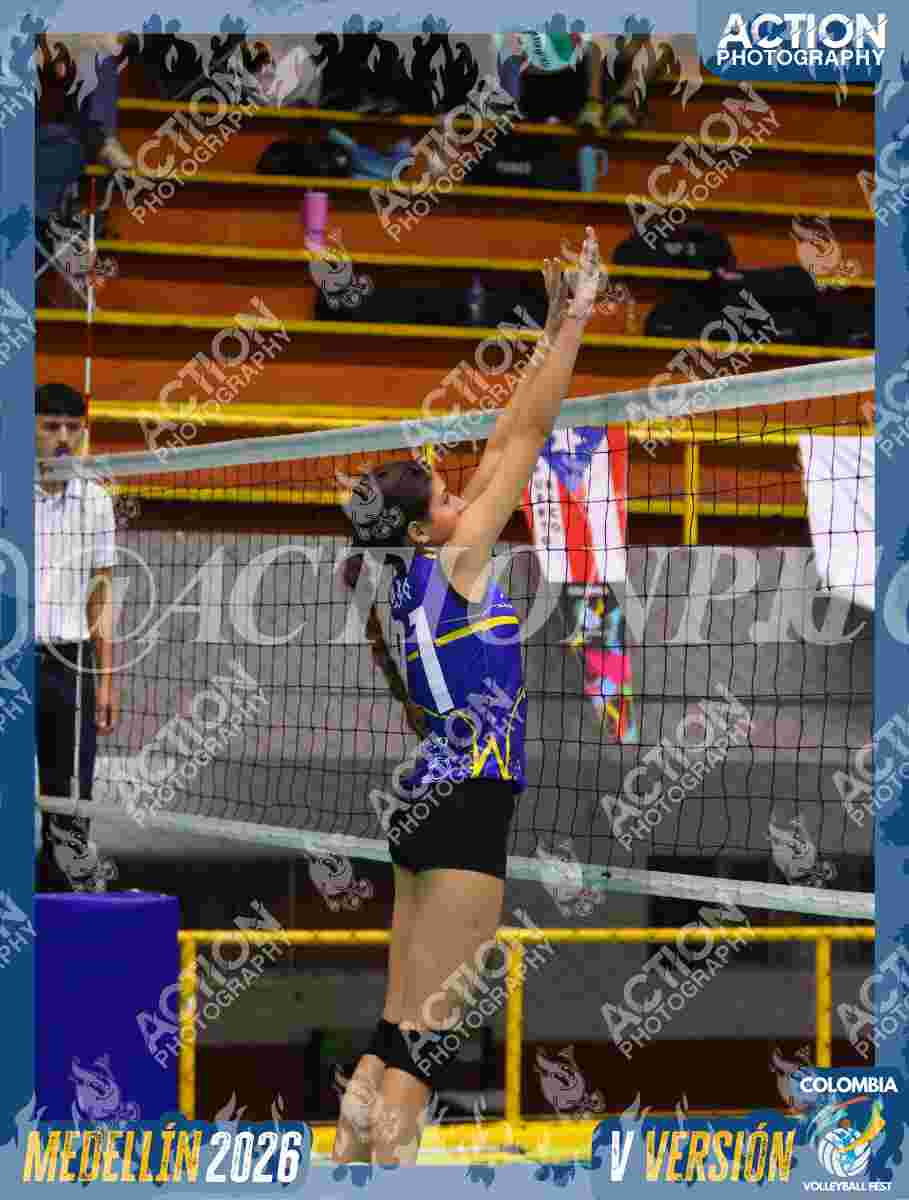 TIGRES D Foto 11