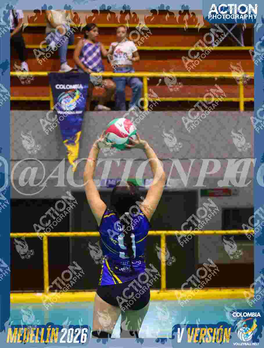 TIGRES D Foto 11