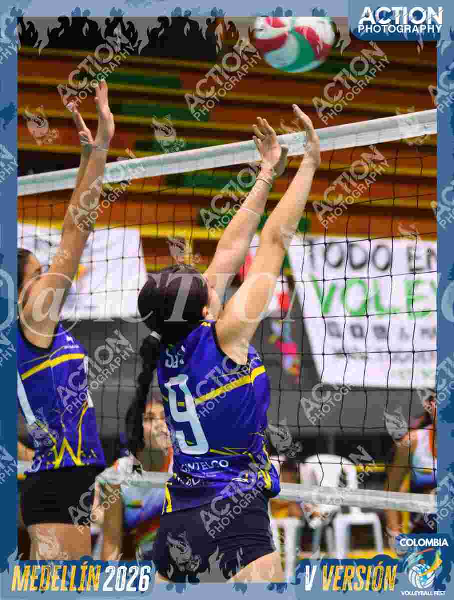 TIGRES D Foto 11