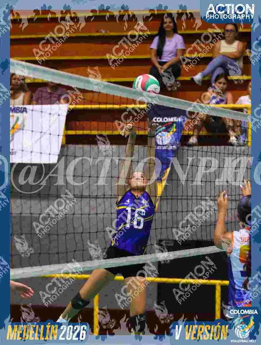 Preview de TIGRES D