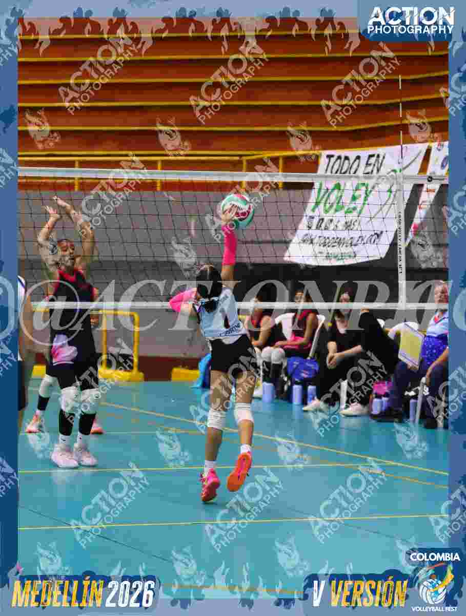 Preview de ENVOL