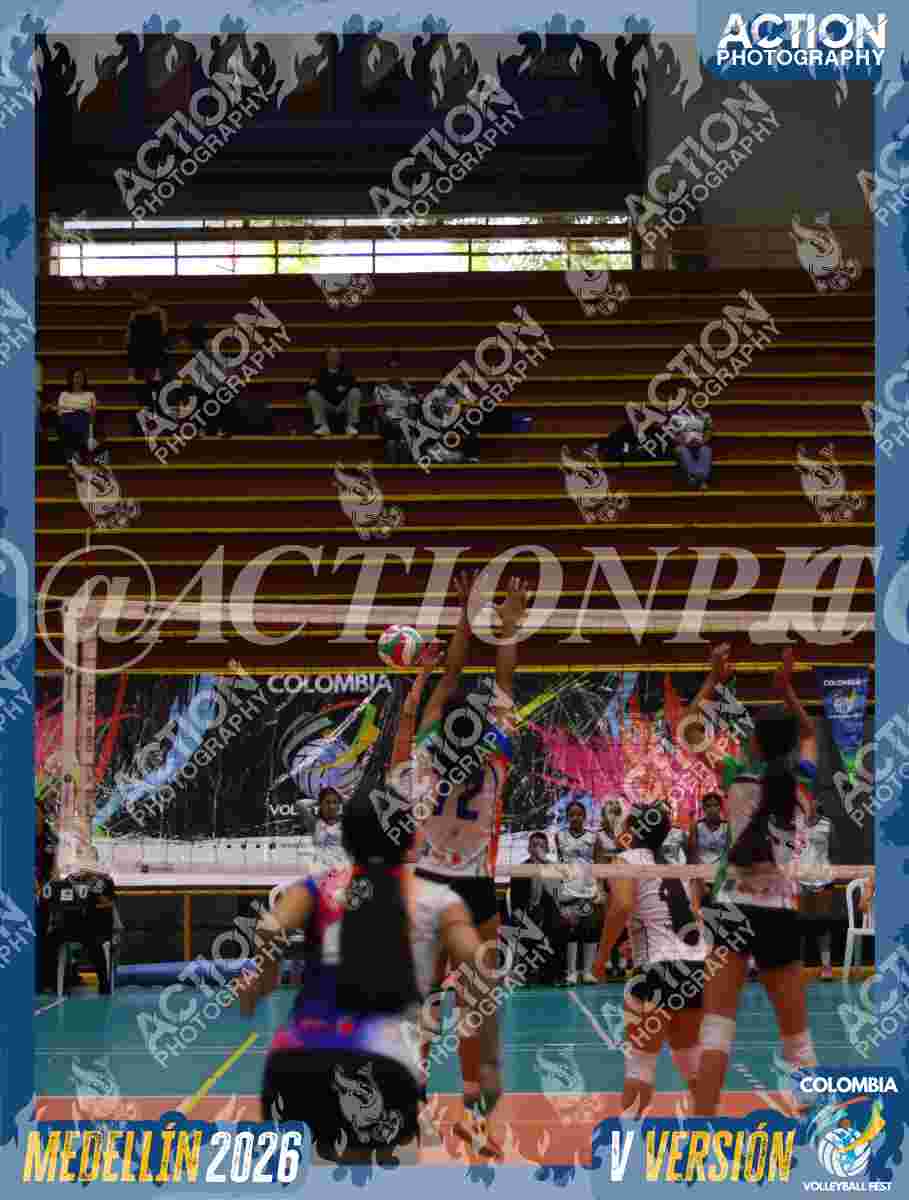 POTROS BLACK Foto 2