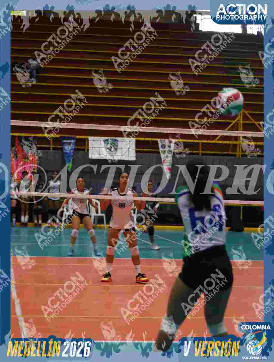 POTROS BLACK Foto 2