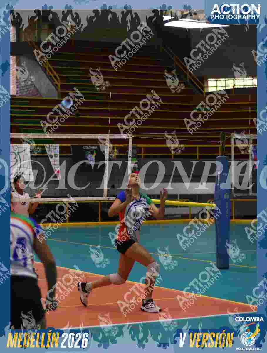 POTROS BLACK Foto 2