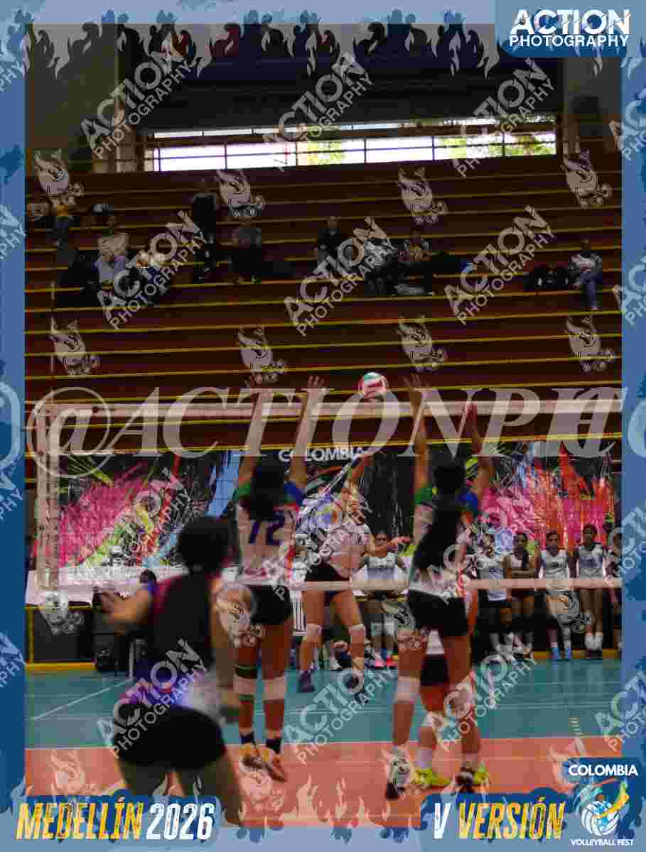 POTROS BLACK Foto 2