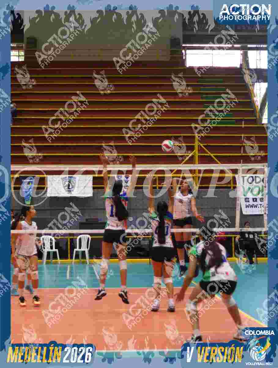 POTROS BLACK Foto 11