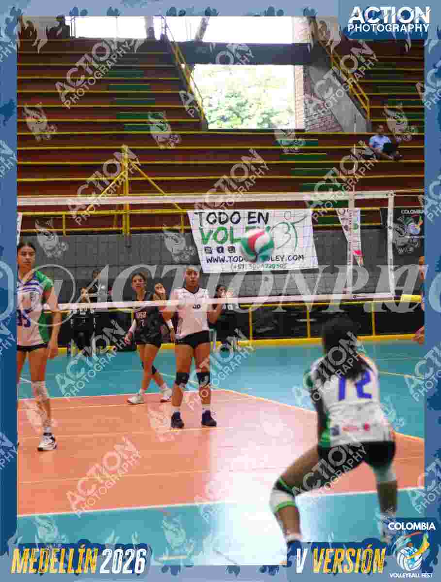 POTROS BLACK Foto 11