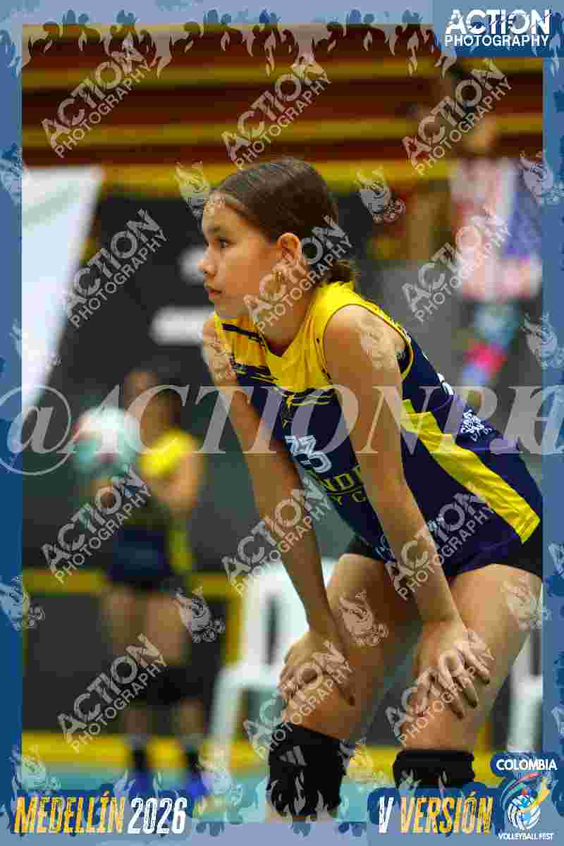 YELLOW Foto 1