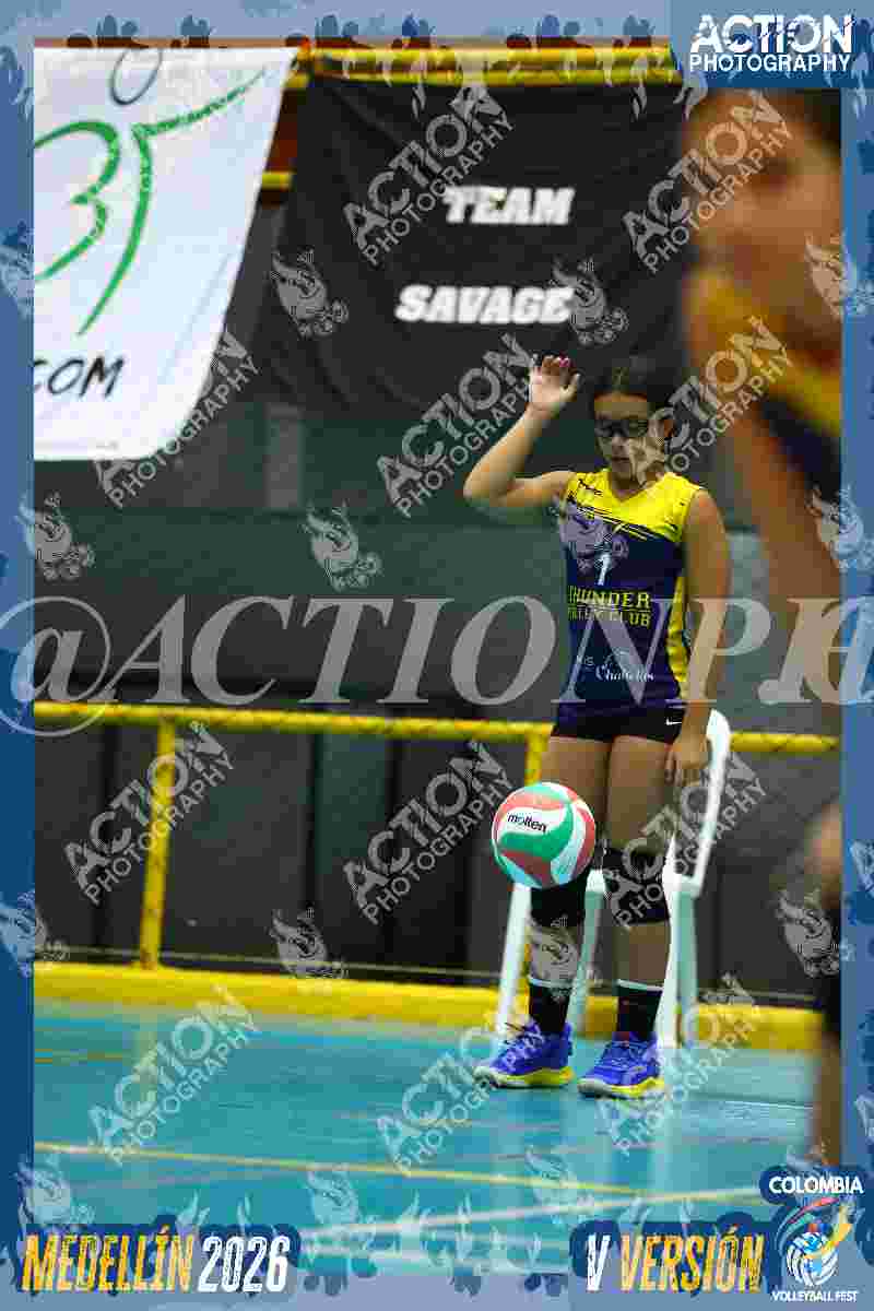 YELLOW Foto 11