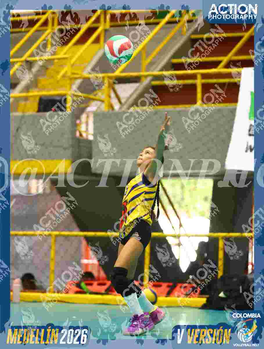 Preview de UPB