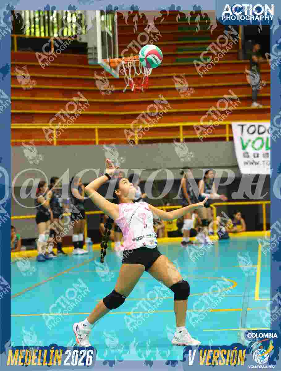 Preview de BMC