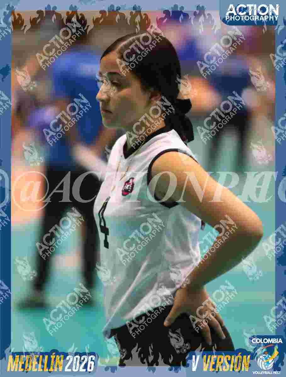 Preview de BMC