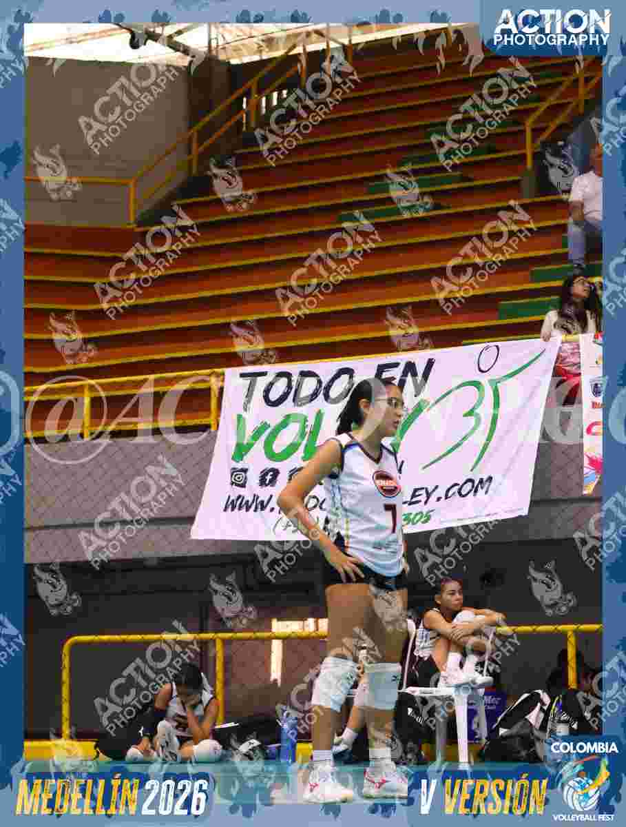 Preview de ENVOL