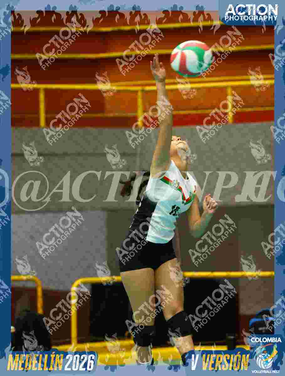 ESCUMER Foto 2