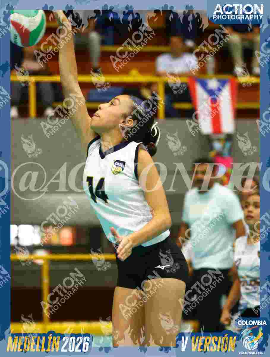 GOLDEN Foto 13