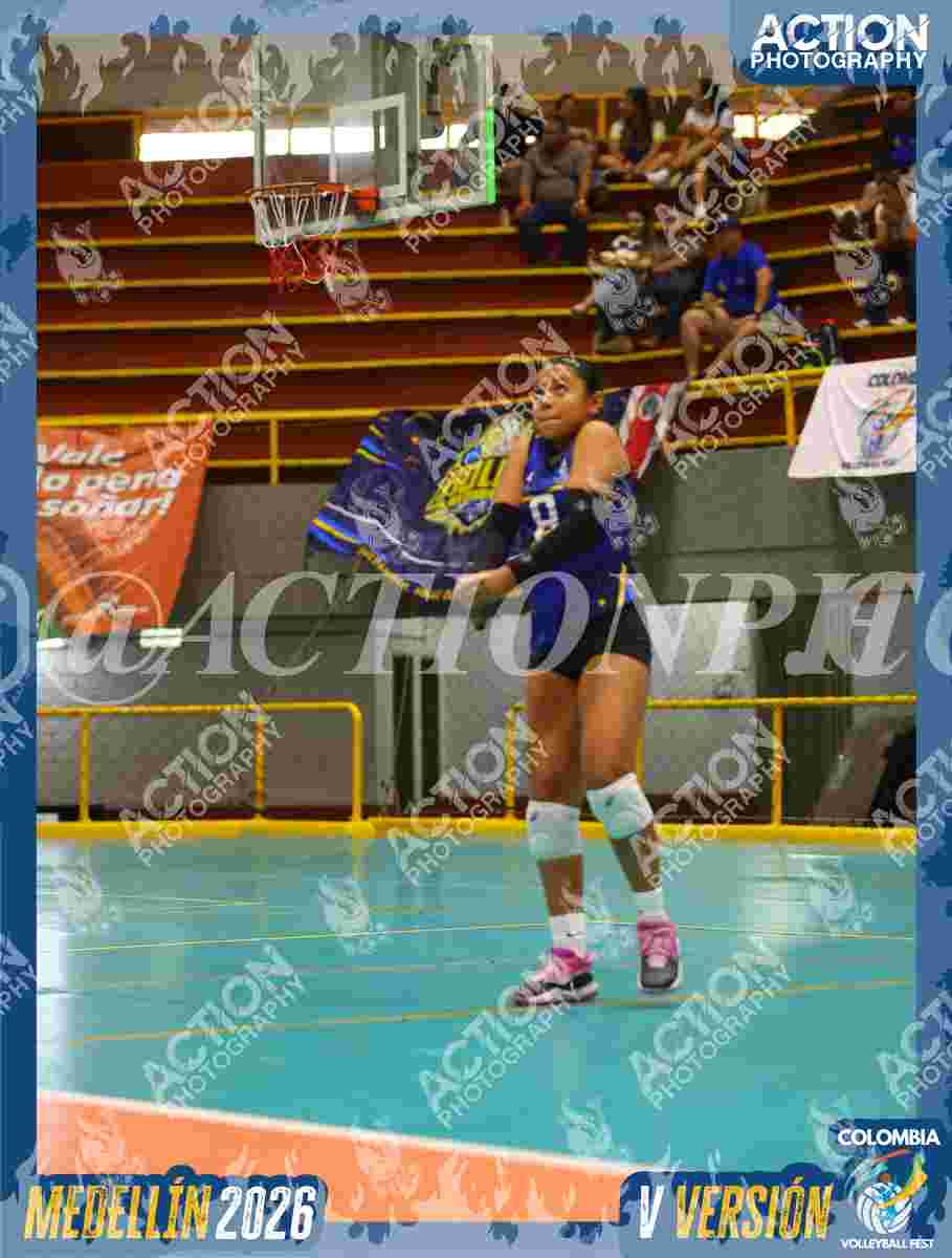 TIGRES F Foto 1