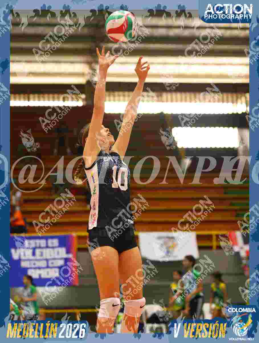 TIGRES F Foto 1